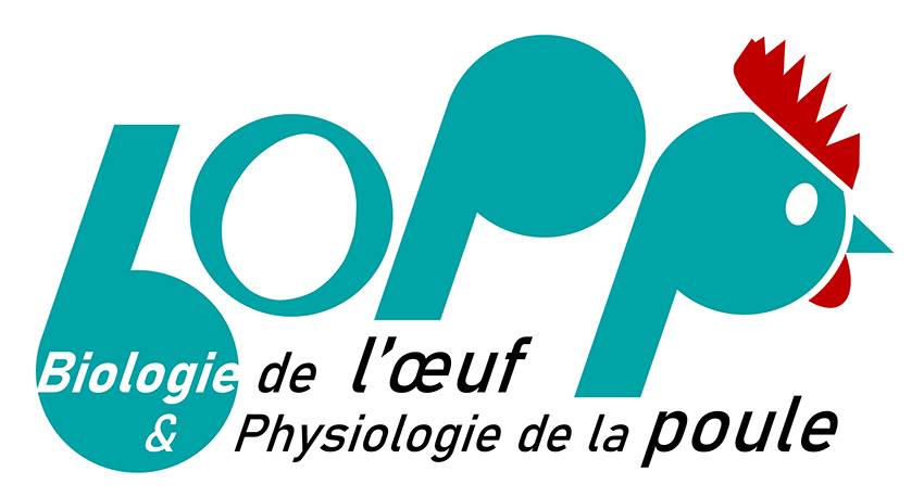 Equipe Biologie de l’Oeuf et Physiologie de la Poule (BOPP)