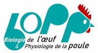 Logo BOPP