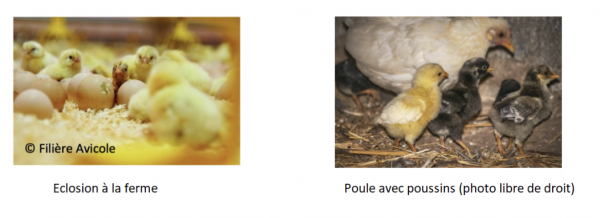 Fait marquant 2024 4