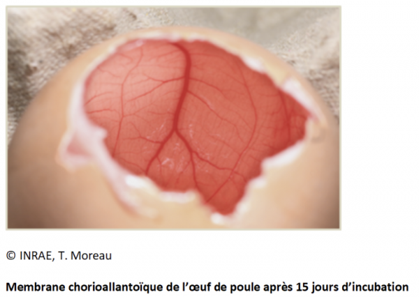 Fait marquant 2024 6