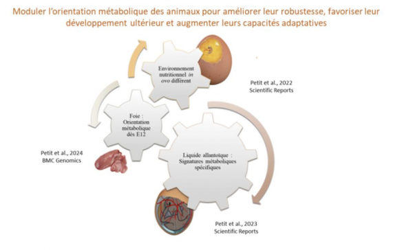 Fait marquant 2024 5